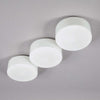 Opaline Glass Vintage Flush Mount Wall Light