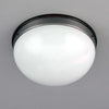 flush mount white opaline glass round ceiling light